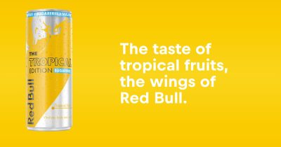 Wholesales Red Bull Sugarfree The Tropical Edition, 250ml online